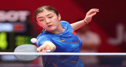 段减少早期 段减少早期